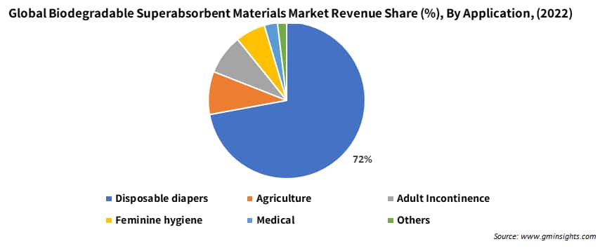 Biodegradable Superabsorbent Materials Market, By Region